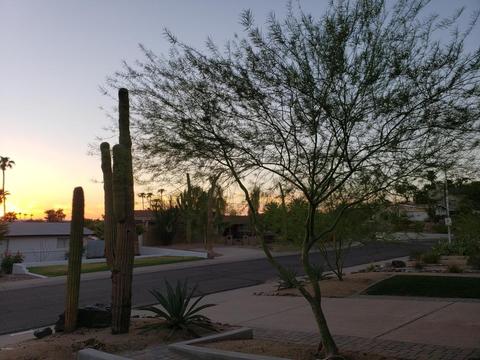6821 N 23rd Pl, Phoenix, AZ 85016 photo 4