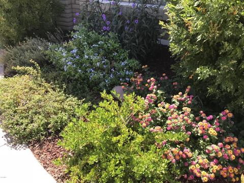 2235 E Fairfield St, Mesa, AZ 85213 photo 40