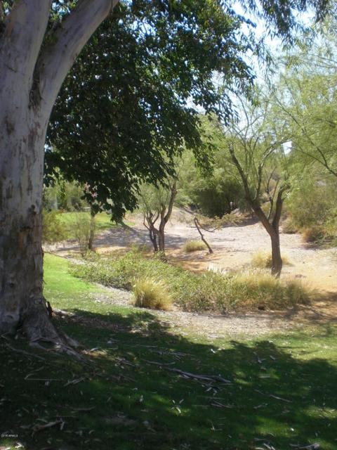 4814 E Hazel Dr #2, Phoenix, AZ 85044 photo 20