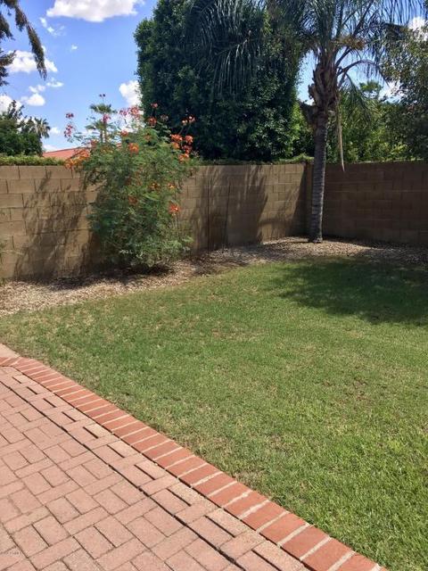 5845 Enrose St, Mesa, AZ 85205 photo 35