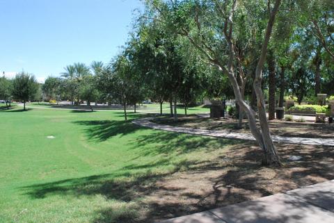 3338 E Sheffield Rd, Gilbert, AZ 85296 photo 23