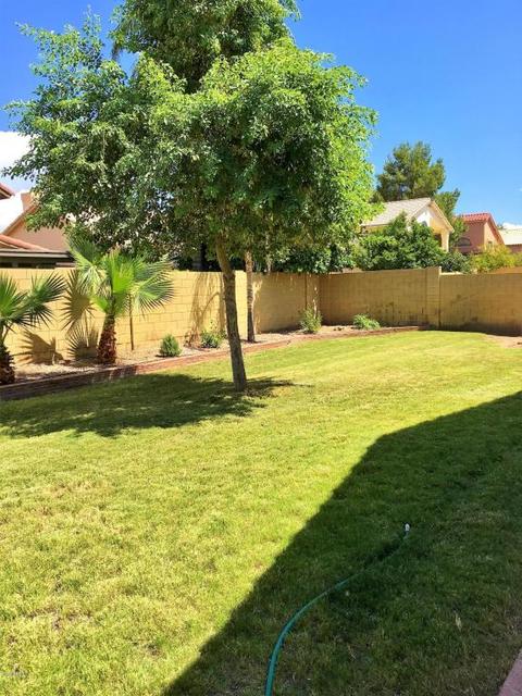 3616 E Rockwood Dr, Phoenix, AZ 85050 photo 20