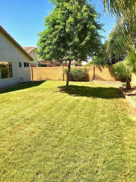 3616 E Rockwood Dr, Phoenix, AZ 85050 photo 21