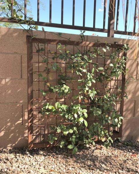 2757 E Gillcrest Rd, Gilbert, AZ 85298 photo 29