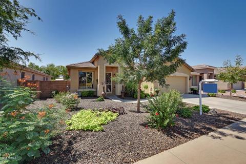 3101 E Lark Dr, Chandler, AZ 85286 photo 1
