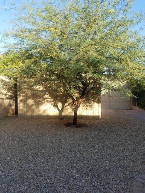 3718 E Ludlow Dr, Phoenix, AZ 85032 photo 30
