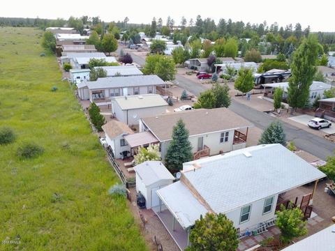 2225 Rodeo Rd, Overgaard, AZ 85933 photo 53