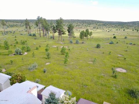 2225 Rodeo Rd, Overgaard, AZ 85933 photo 47