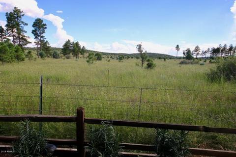 2225 Rodeo Rd, Overgaard, AZ 85933 photo 24