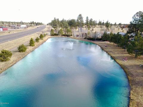 2225 Rodeo Rd, Overgaard, AZ 85933 photo 38