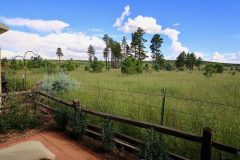 2225 Rodeo Rd, Overgaard, AZ 85933 photo 23