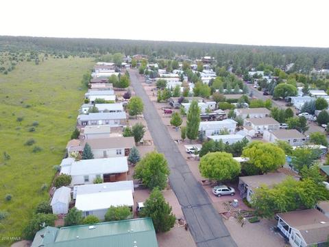 2225 Rodeo Rd, Overgaard, AZ 85933 photo 61