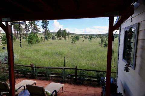 2225 Rodeo Rd, Overgaard, AZ 85933 photo 21