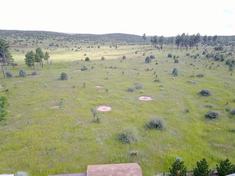 2225 Rodeo Rd, Overgaard, AZ 85933 photo 46