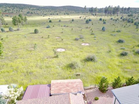 2225 Rodeo Rd, Overgaard, AZ 85933 photo 45