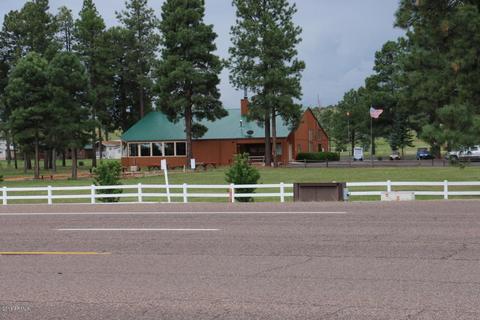 2225 Rodeo Rd, Overgaard, AZ 85933 photo 71