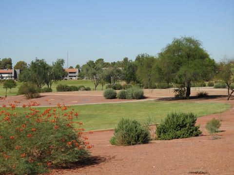 1220 E Grovers Ave, Phoenix, AZ 85022 photo 33