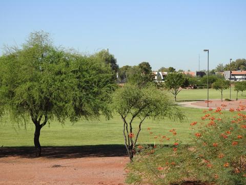 1220 E Grovers Ave, Phoenix, AZ 85022 photo 34