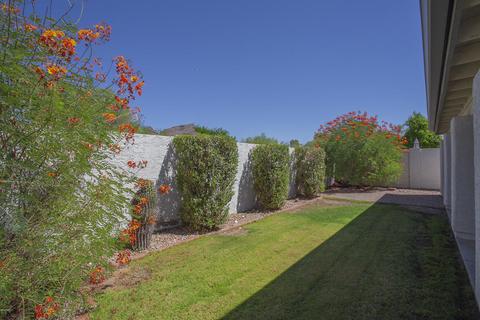 1228 E Redfield Rd, Phoenix, AZ 85022 photo 5
