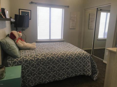 4518 E Olive Ave, Gilbert, AZ 85234 photo 10