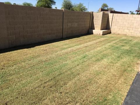 1737 E Grandview Rd, Phoenix, AZ 85022 photo 6