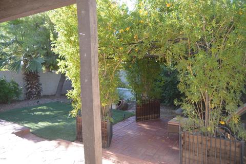 2533 E Bluefield Ave, Phoenix, AZ 85032 photo 17