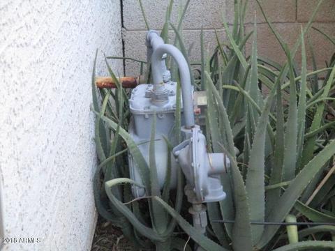 3930 E Cody Ave, Gilbert, AZ 85234 photo 37