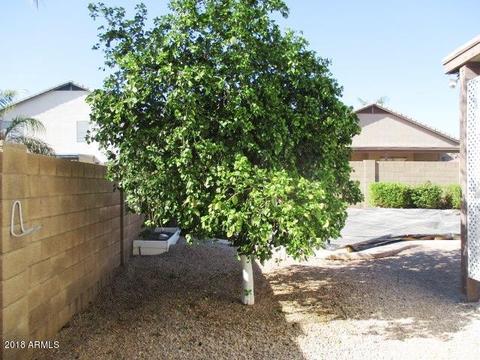 3930 E Cody Ave, Gilbert, AZ 85234 photo 55