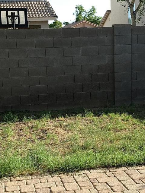 3719 E Longhorn Dr, Gilbert, AZ 85297 photo 9