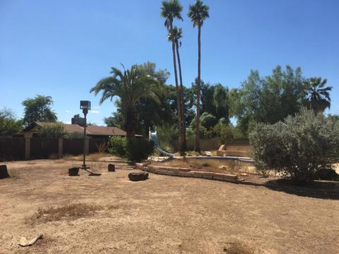 3435 E Cholla St, Phoenix, AZ 85028 photo 11