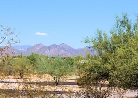 1025 E Tumbleweed Dr, Phoenix, AZ 85085 photo 4