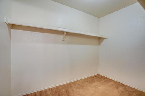 7230 E Dewberry Ave, Mesa, AZ 85208 photo 21