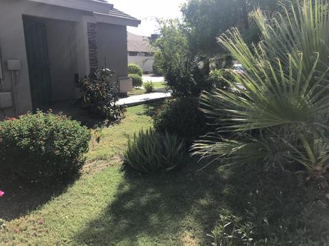 5907 N 68th Ave, Glendale, AZ 85303 photo 4