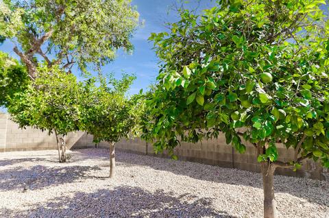 4337 E Mcneil St, Phoenix, AZ 85044 photo 47