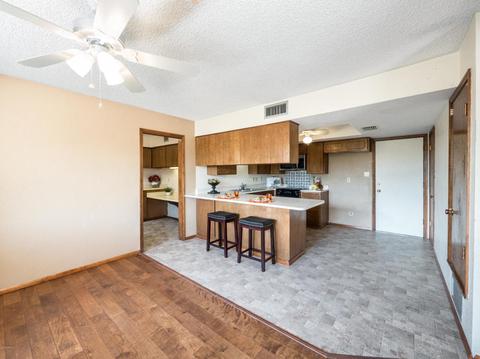 861 E 10th St, Mesa, AZ 85203 photo 17
