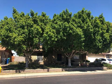 856 E Glade Ave, Mesa, AZ 85204 photo 2