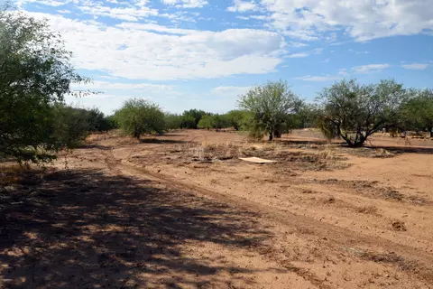 829 E Carlise Rd #-, Phoenix, AZ 85086 photo 3