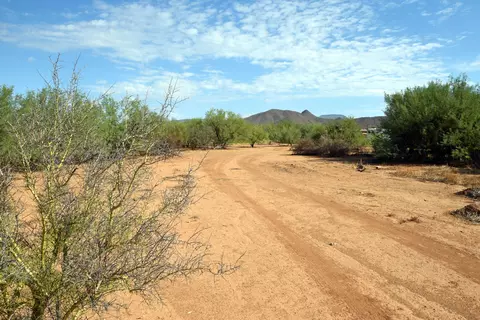 829 E Carlise Rd #-, Phoenix, AZ 85086 photo 12