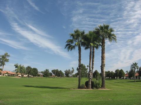 8240 E Lakeview Ave, Mesa, AZ 85209 photo 16