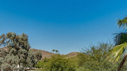 4802 E Alta Mesa Ave, Phoenix, AZ 85044 photo 29