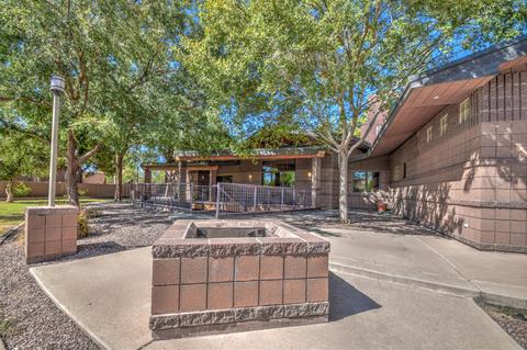 3845 E Ivy St, Mesa, AZ 85205 photo 89