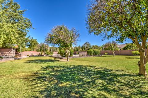 3845 E Ivy St, Mesa, AZ 85205 photo 87
