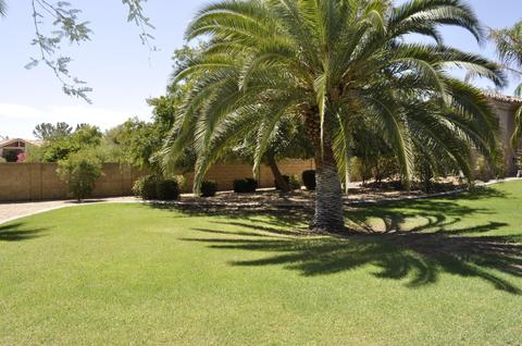 3818 E Kachina Dr, Phoenix, AZ 85044 photo 50