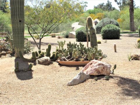 4303 E Cactus Rd #324, Phoenix, AZ 85032 photo 39