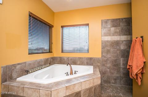 3913 N Dell Armi Trl, Apache Junction, AZ 85119 photo 12