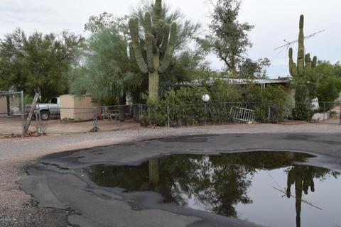 10322 E Warner St, Mesa, AZ 85208 photo 3