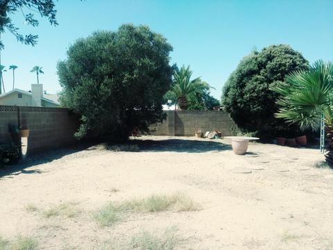 1625 E Campus Dr, Tempe, AZ 85282 photo 9