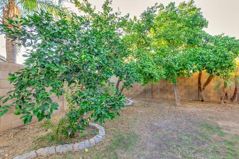 4953 E Casper St, Mesa, AZ 85205 photo 33