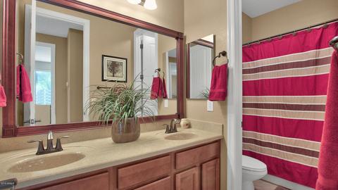 2433 Eleana Ln, Gilbert, AZ 85298 photo 29