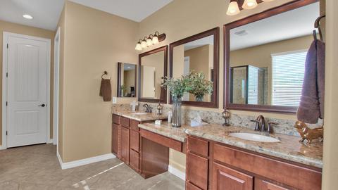 2433 Eleana Ln, Gilbert, AZ 85298 photo 23